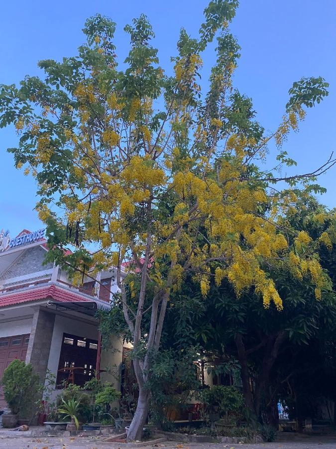 Hoa Bien Guesthouse Μούι Νε Εξωτερικό φωτογραφία